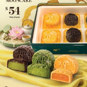 Mini Unique Snow Skin Mooncakes 6pcs